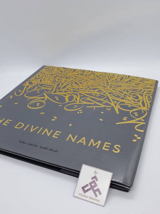 The Divine Names written by Taher Adel and Aadil Abedi published by Sun Behind publication