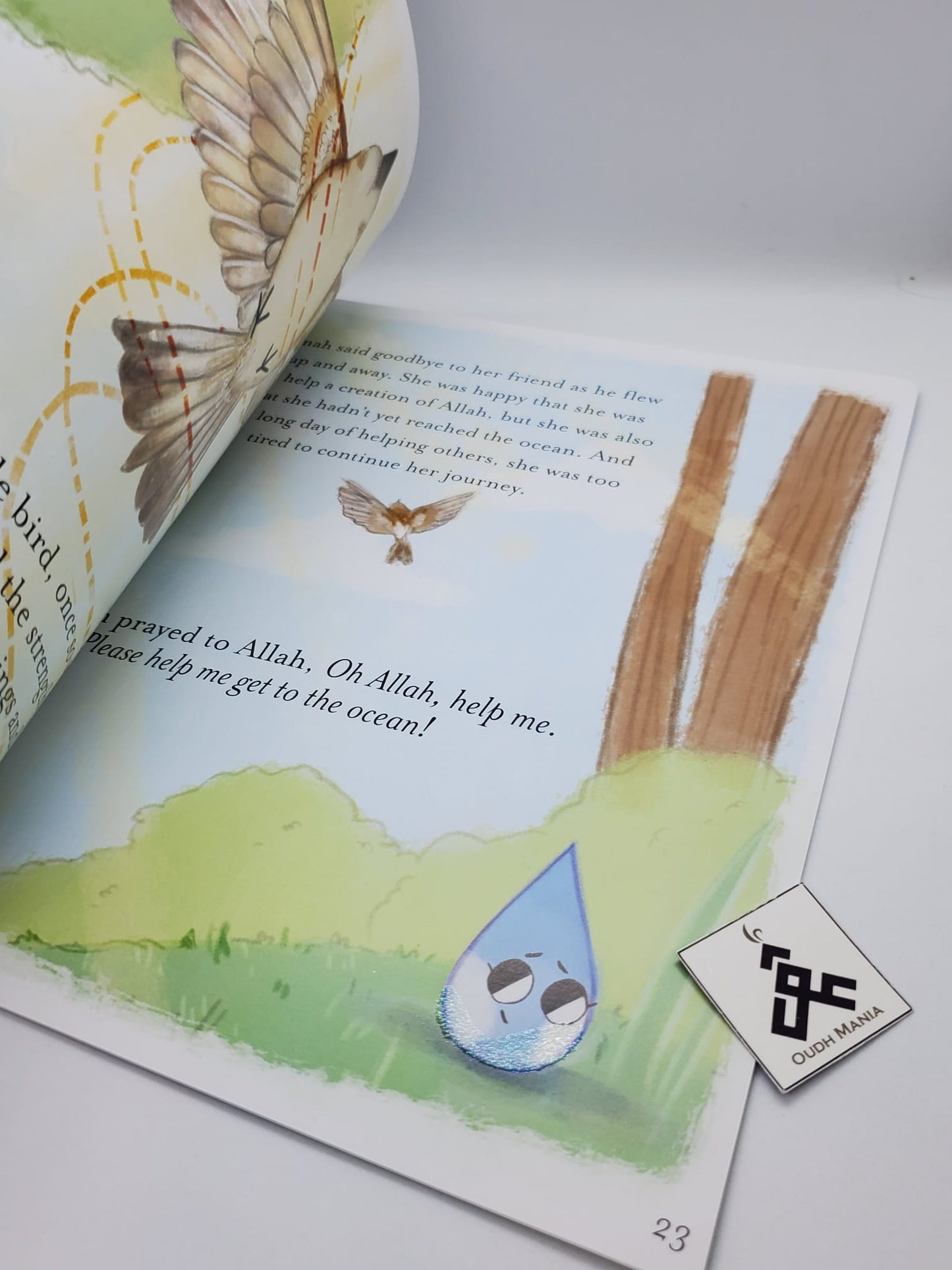 Rahmah the Raindrop book by kisa kids publication