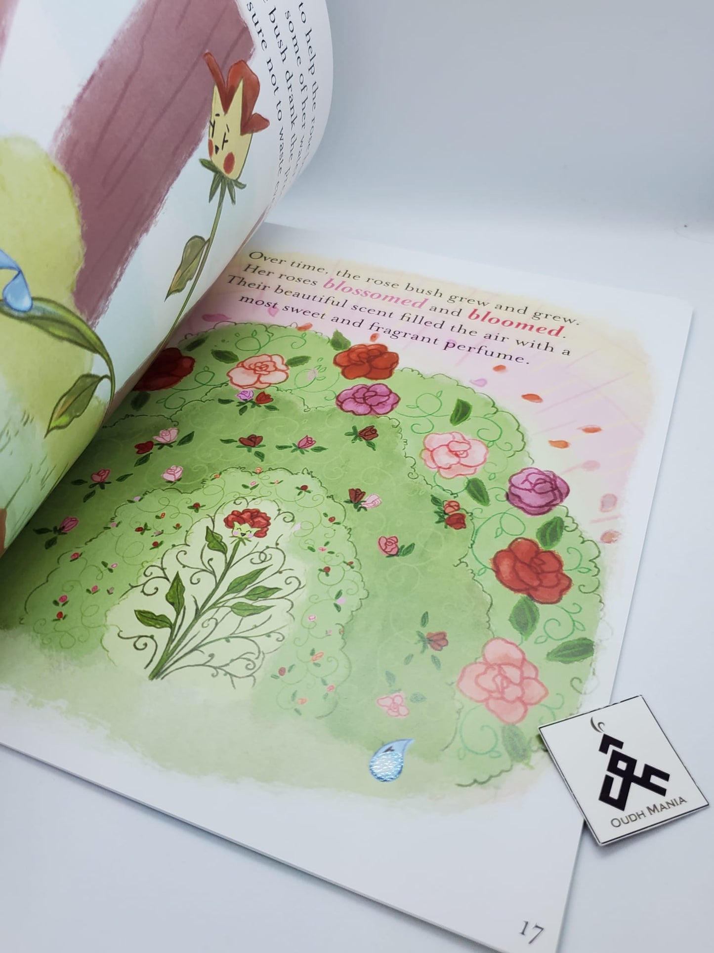 Rahmah the Raindrop book by kisa kids publication