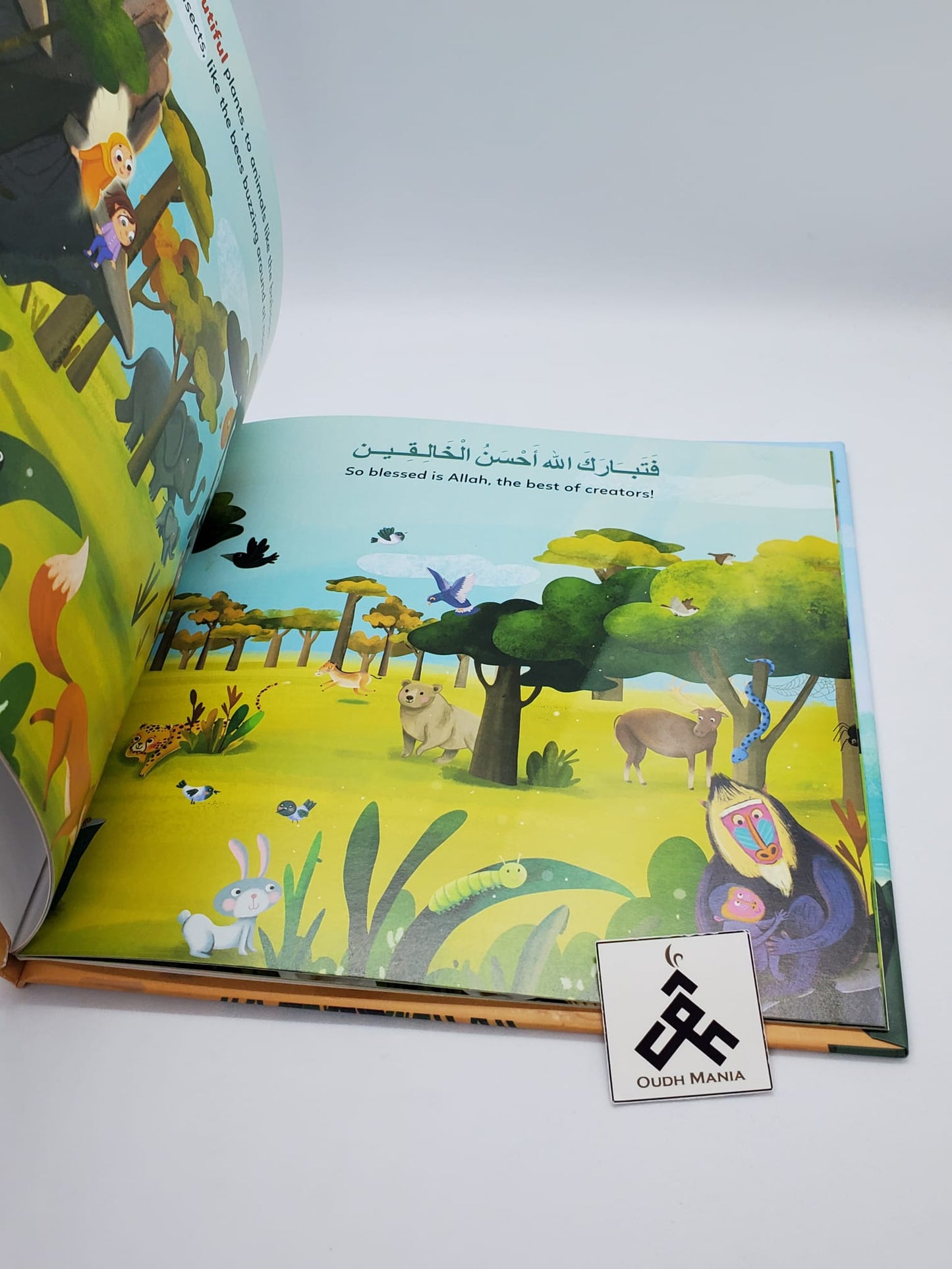 Angel Asmaa and Husna – Set of 3 books | Published by Saabiqoon Books