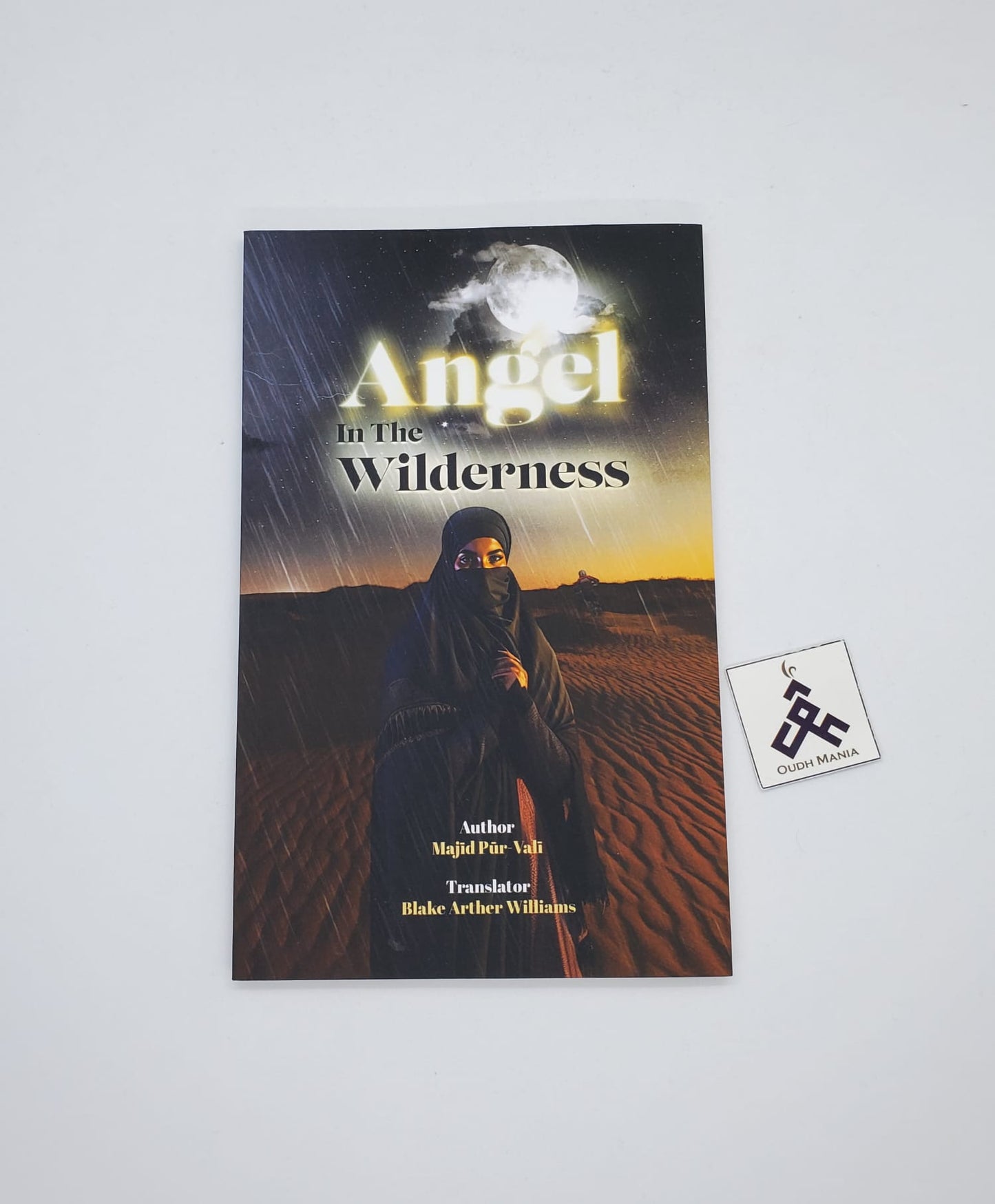 Angel in the Wilderness Chapter Book | Lantern Publications